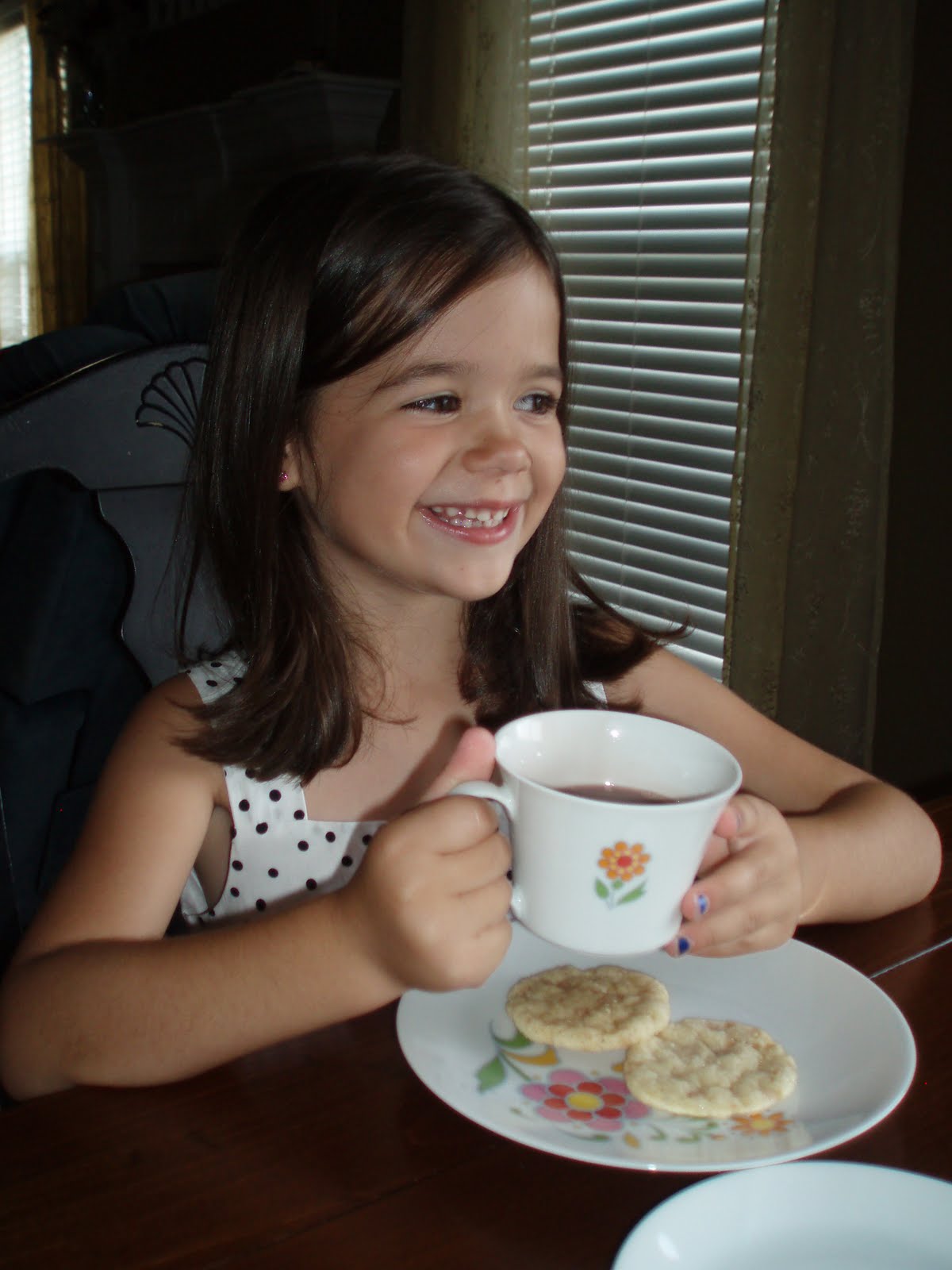 Baughman Family Dance With Cinderella