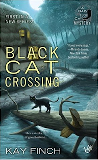 black cat crossing