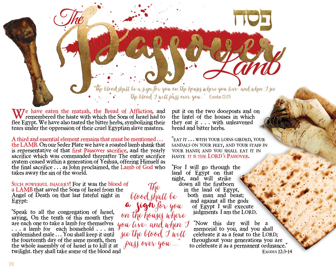 By His EVERY Word FREE HAGGADAH Let s Celebrate Passover 