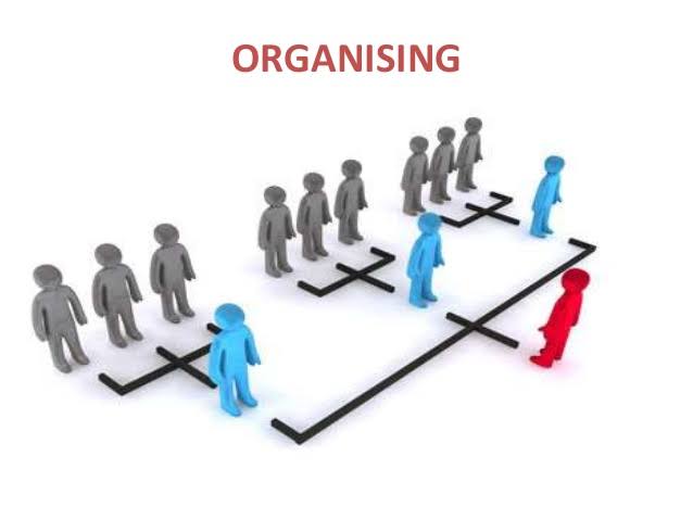 Organizing Function in Management