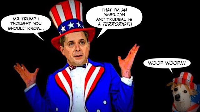 scheer+yankee+.jpg