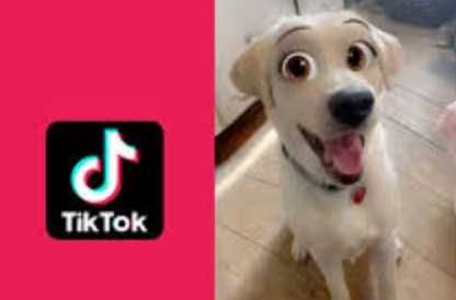 Tiktok Disney Character Filter Icon | Disney Dog Filter Tiktok || How To Get Disney Dog Filter ......  Artist Gives Disney Princesses Modern Makeovers on TikTok ...
 |Tiktok Disney Character Filter Icon
