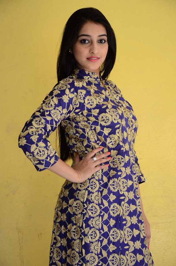 Mouryaani at LAW movie Success Meet