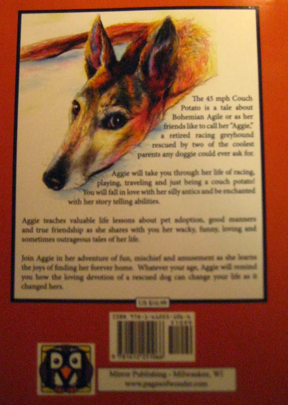 Two Greyhound Town The 45 Mph Couch Potato