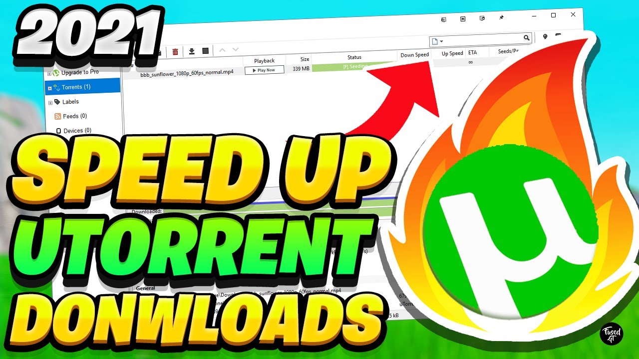 utorrent download speed