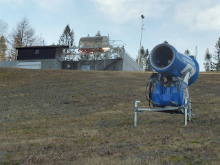 P1020035.JPG