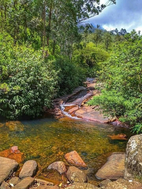 යකාගේ පඩිපෙළක්නේ මේක - ඔබ් 🤔🌱🍃🎋 (Devil's Staircase) - Your Choice Way