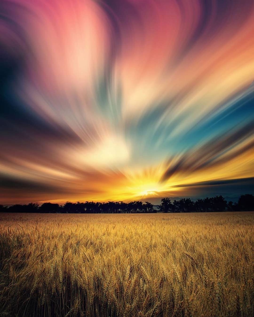 Doğa Telefon Duvar Kağıdı