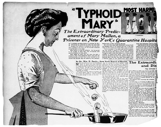 Статья, посвященная М. Маллон — «Тифозной Мэри»,  была опубликована 20 июня 1909 г. в газете The New York American