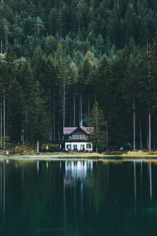 Yang Tersirat Dari Penggalan Lagu “Ku Kira Kau Rumah” By Amigdala Yang Tersirat Dari Penggalan Lagu “Ku Kira Kau Rumah” By Amigdala