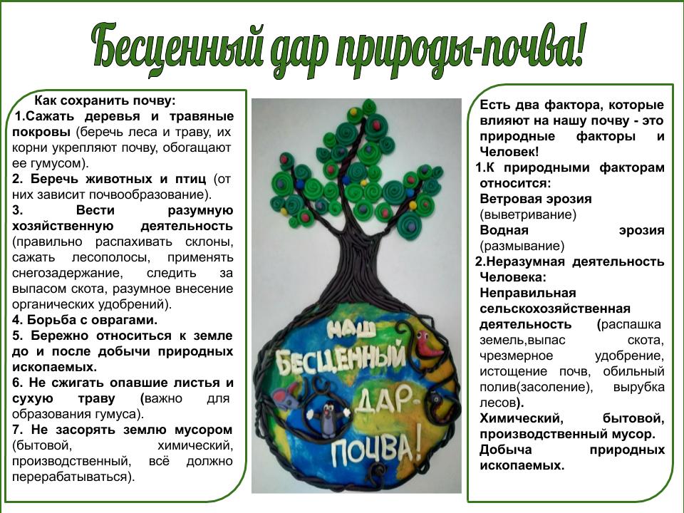 Что дает растениям почва Фитостудия-63.ру