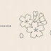 [コンプリート！] かわいい 手書き 花 イラスト 193103-手書き かわいい 簡単 花 イラスト