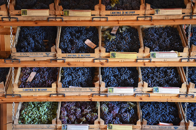 Different Valpolicella varities on display at Cantina Valpolicella Negrar. Photo by Greg Hudson