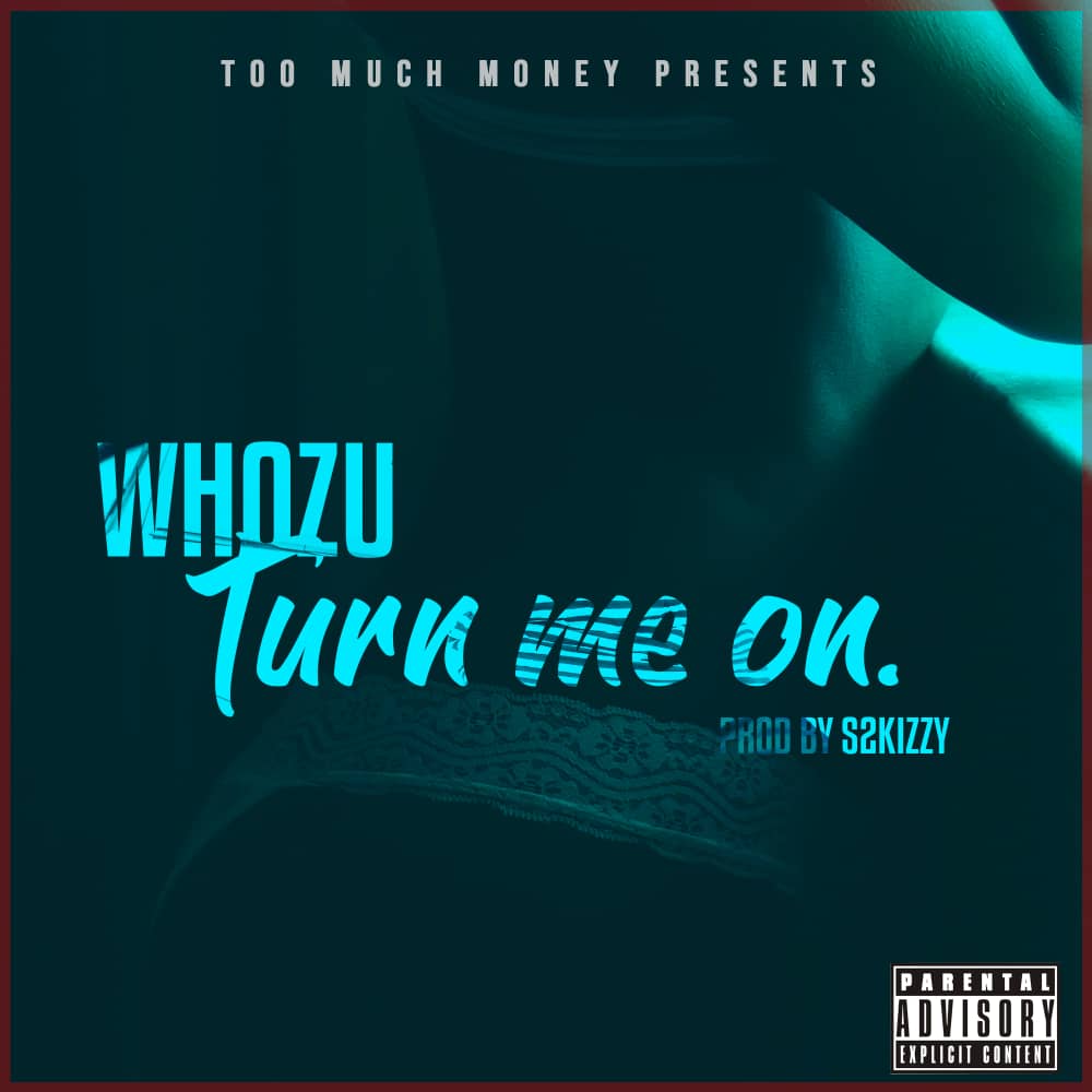 Audio L Whozu Ft S2kizzy Turn Me On L Download Dj Kibinyo 