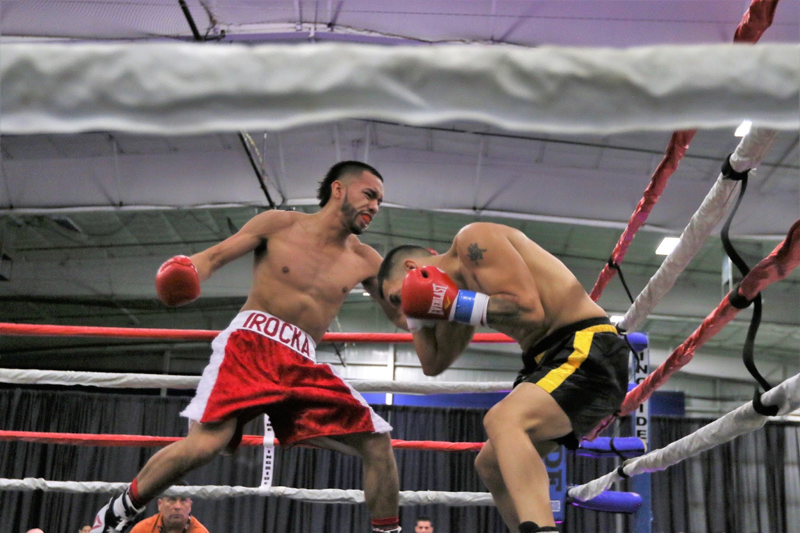 Utah MMA and Boxing Chairez among winners at boxing card in SLC