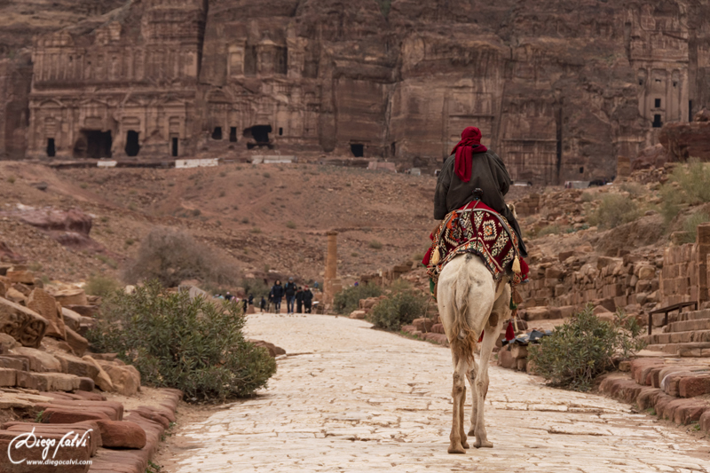 Las Tierras rojas de Jordania - Blogs de Jordania - Visita a la Ciudad de Petra (9)