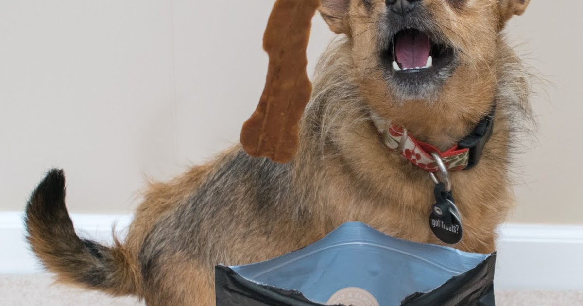 Mini Review Bones & Chews Jerky Dog Treats The Chesnut Mutts