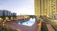 2bhk-flat-for-sale-Saya-Gold-Avenue Saya Gold Avenue