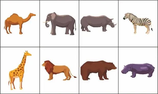 Animals Vocabulary and Phrases