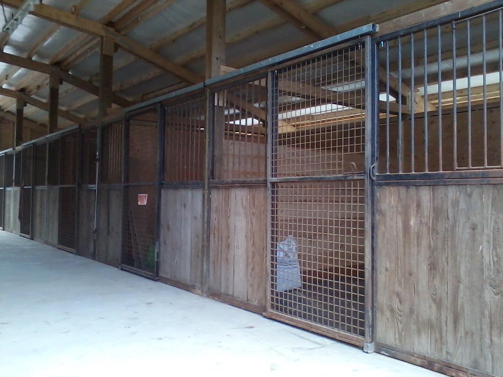 Trying To Ride Stable Comfort Stall Mats DONE