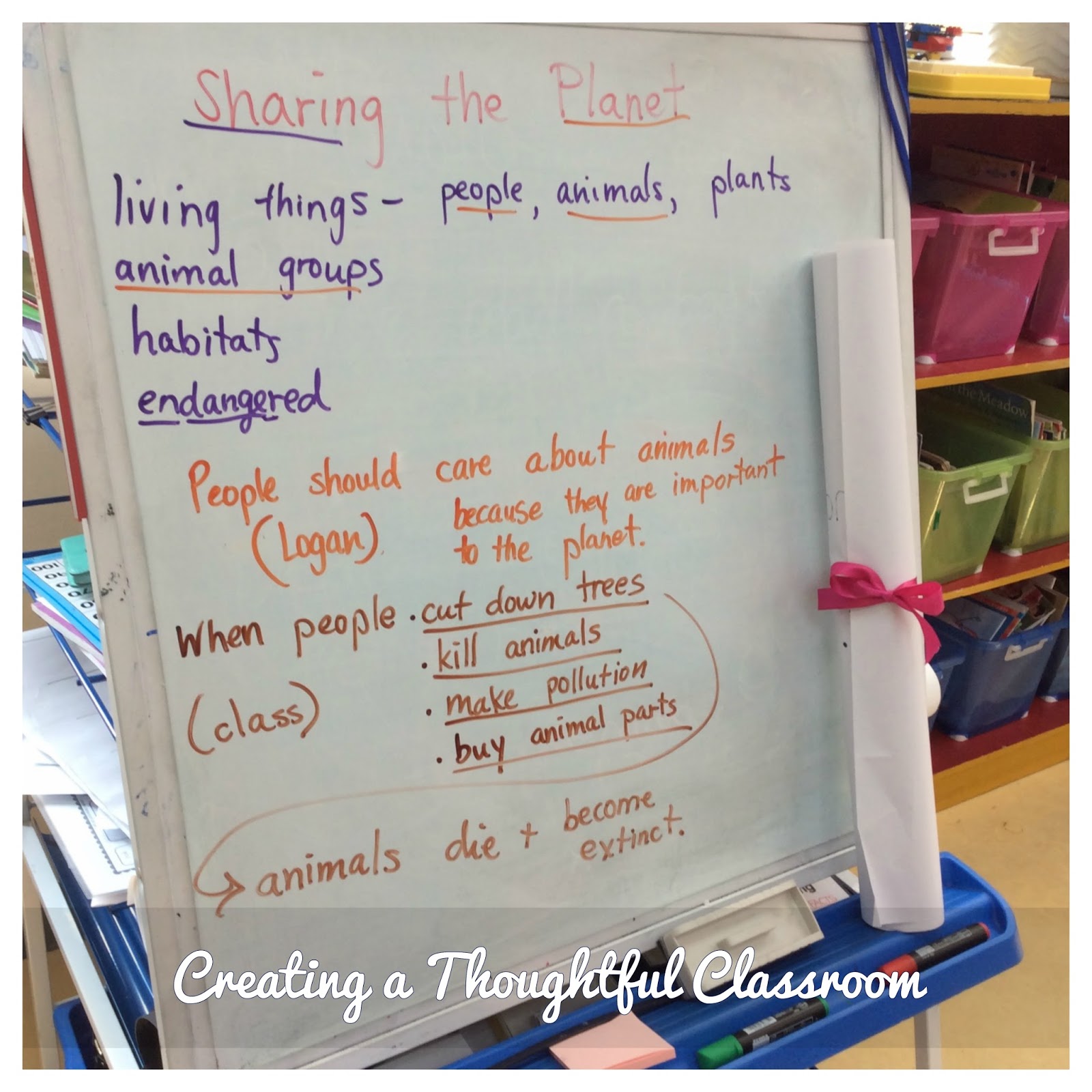 Revealing the Central Idea - Creating a Thoughtful Classroom
