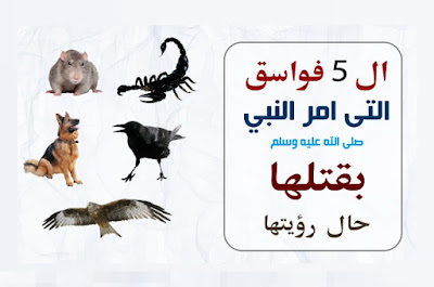 صورة