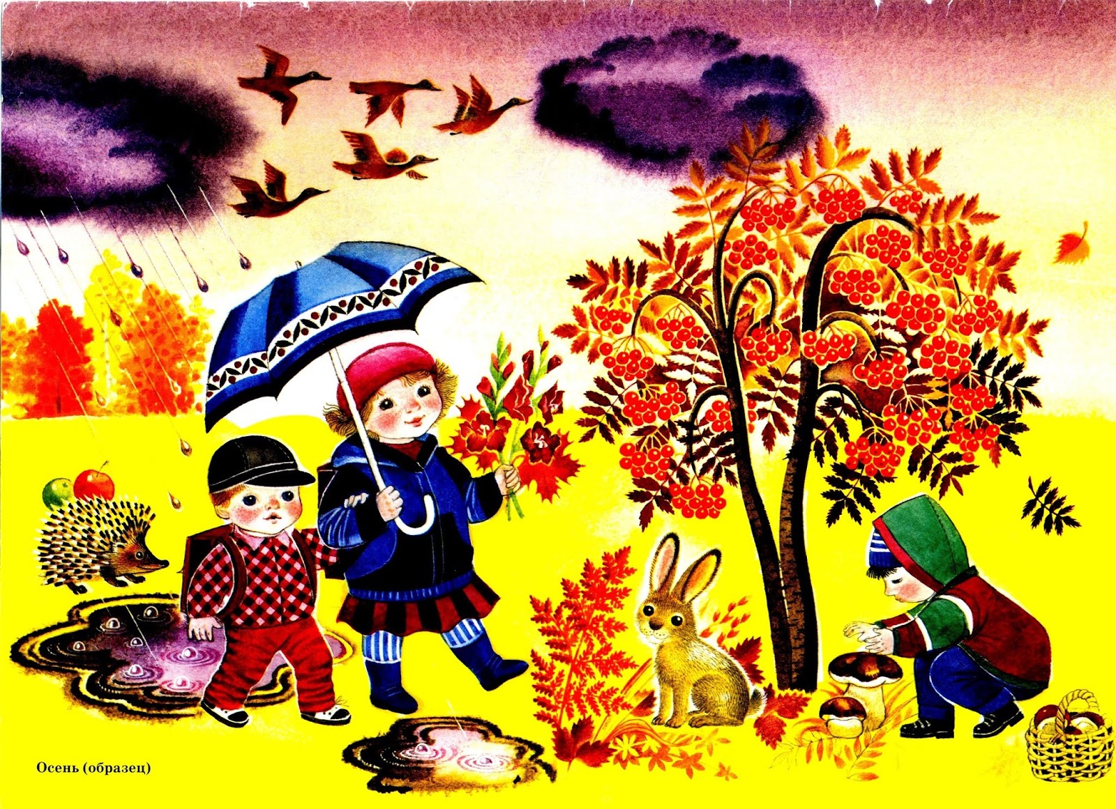 Октябрь 3 неделя. Осень для детей. Осень для дошкольников. Осень иллюстрации для детей. Сюжетная картина осень.