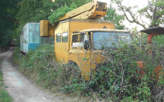 Decaying truck in undergrowth