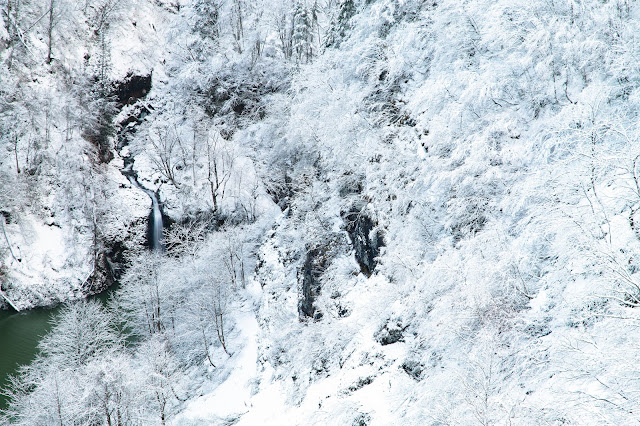 #photo #landscape #sigma #foveon #sdquattroh #japan #yamagata #tsuruoka #写真 #風景写真 #山形帝國 #山形県 #鶴岡市