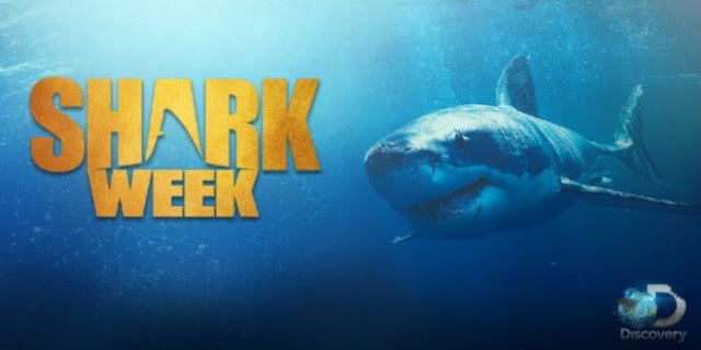 Shark Week Shark Week