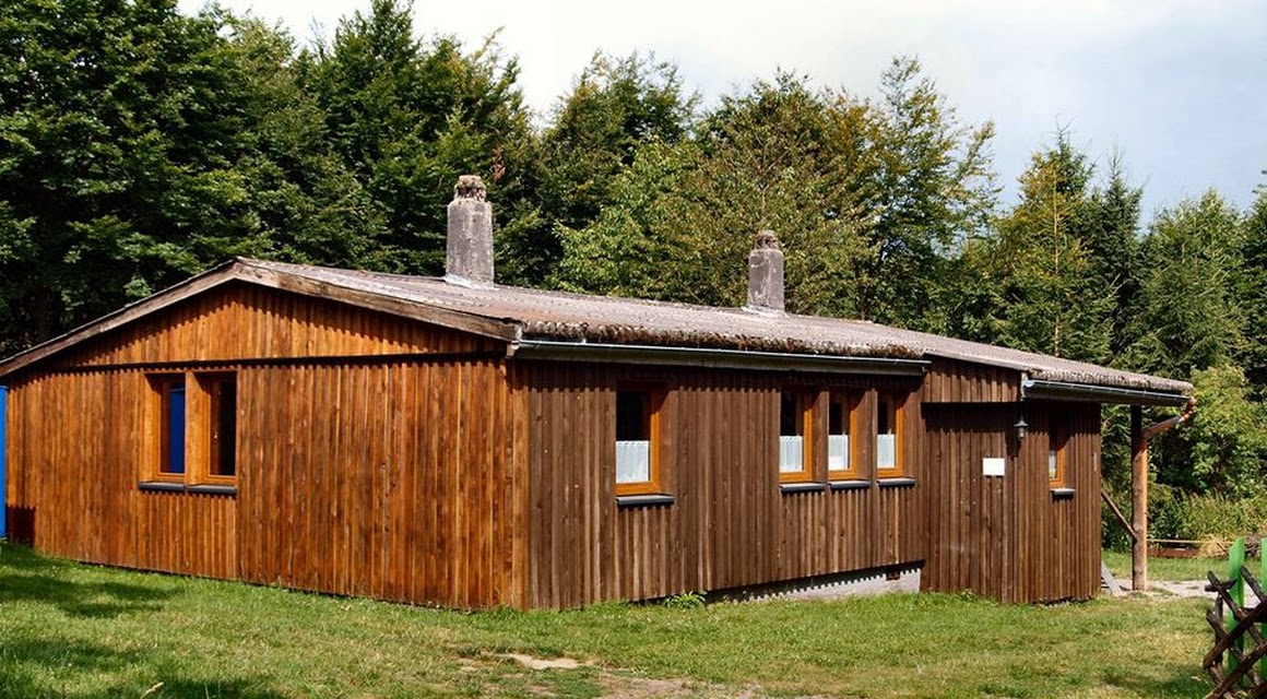 Willkommen Wolf Im Westerwald Nabu Seeheim Jugenheim