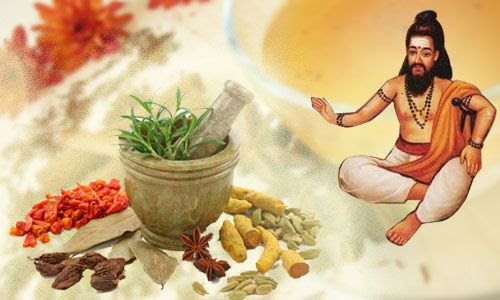 Download Tamil Siddha Medicine Books – 400 Books PDF for Free.