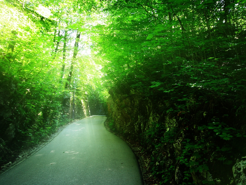 Top 35 Beautiful And Fabulous Paths Wallpapers In HD