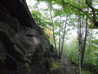 Waterfall Rock on Abandoned White Path, Acadia