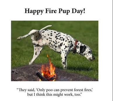 National Fire Pup Day Wishes Images National Fire Pup Day Wishes Images