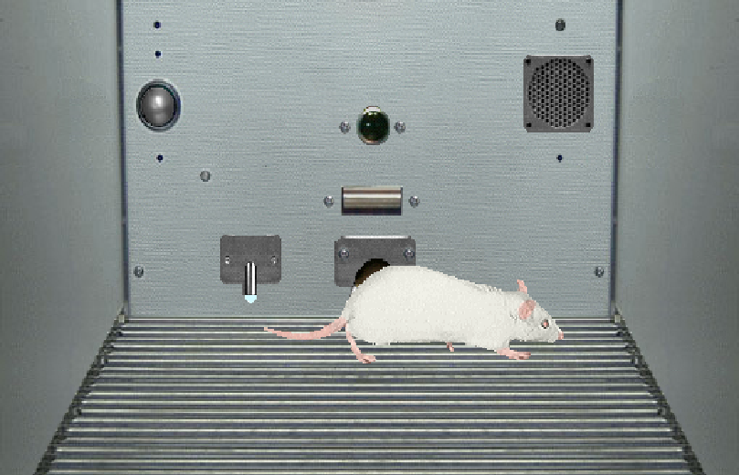 Sniffy app Sniffy app