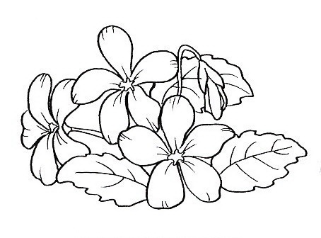 MANUALIDADES: DIBUJO DE FLORES PARA COLOREAR