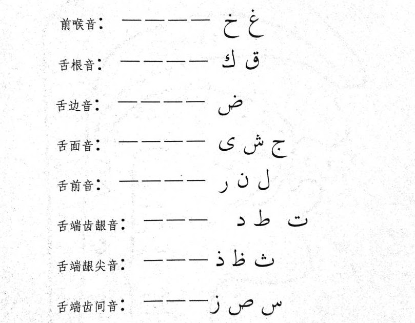 A New Muslim How to Pronounce Arabic(發音部位)