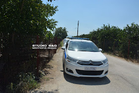 DSC 2728 | Lamianow.gr