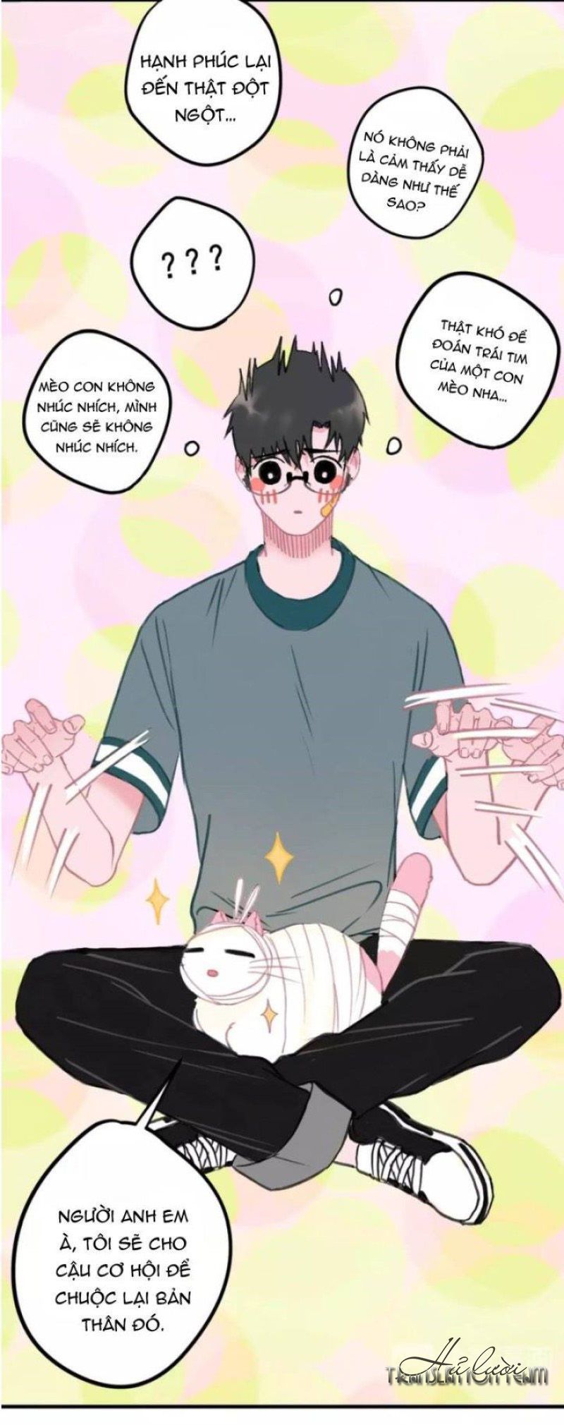 Đọc truyện Thế giới của một chú mèo - Chapter 5