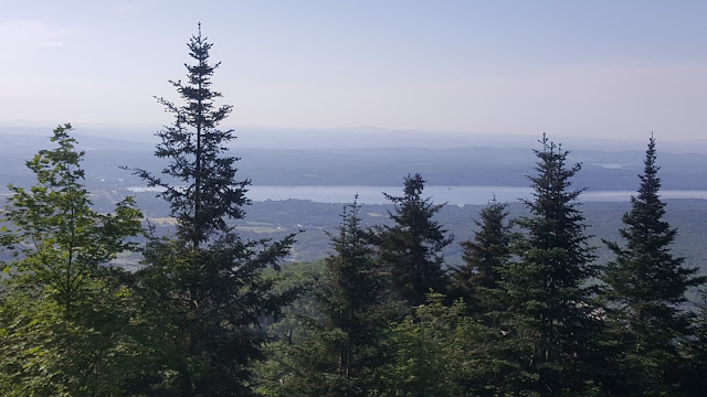 Vue à partir de la piste du 4KM vers le sommet du mont Orford