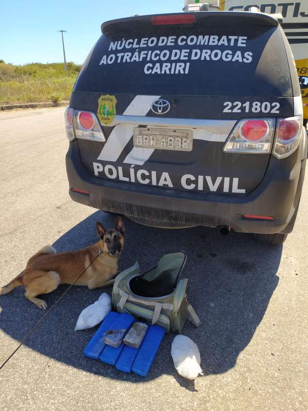 Polícia Civil prende no Crato mulher suspeita de tráfico interestadual de drogas Polícia Civil prende no Crato mulher suspeita de tráfico interestadual de drogas