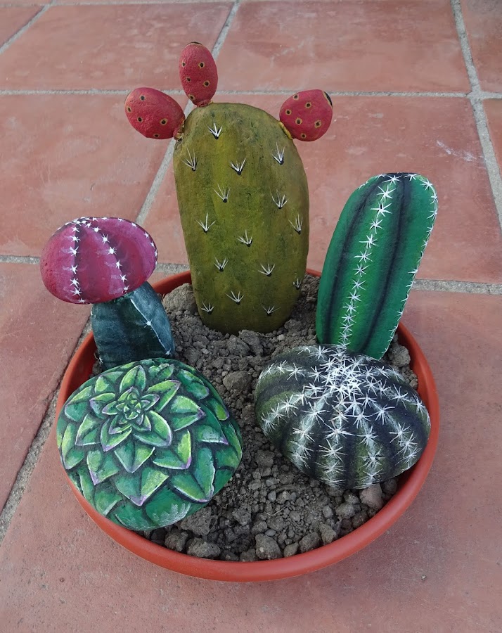 COMO PINTAR PIEDRAS CON CACTUS EN FLOR