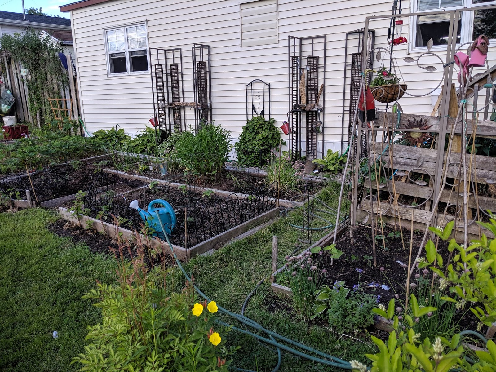Passage to Sackville. Garden dreams