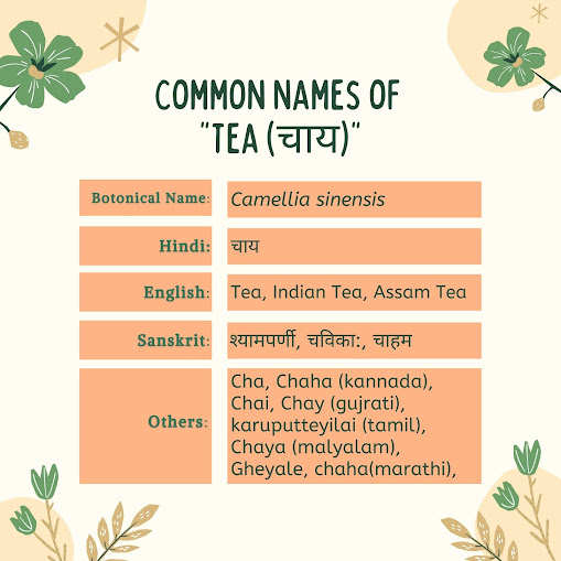 Tea Common Names/Tea benefits  Herbal Arcade