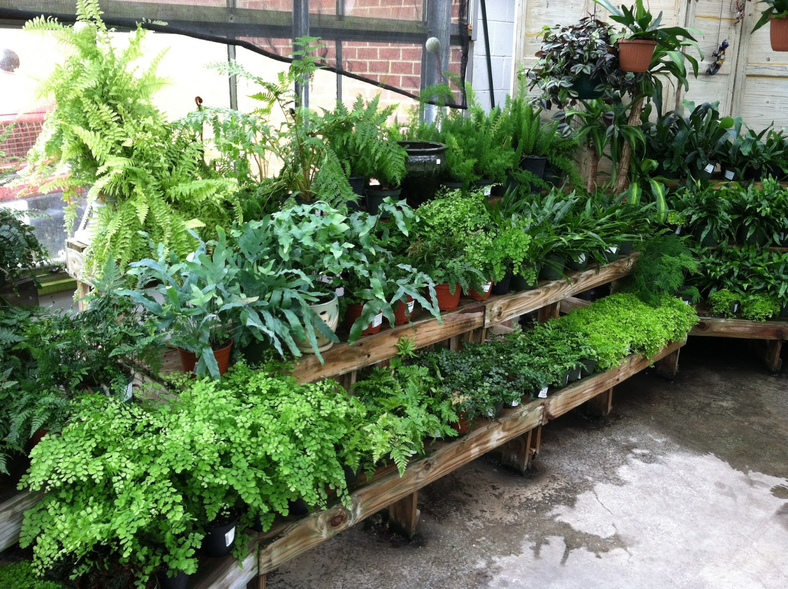 Horse Country Chic The Most Incredible Garden Shop in Virginia