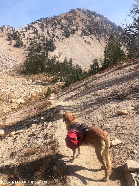 Backpacking the Alice Toxaway Loop & More, Sawtooth Mountains
