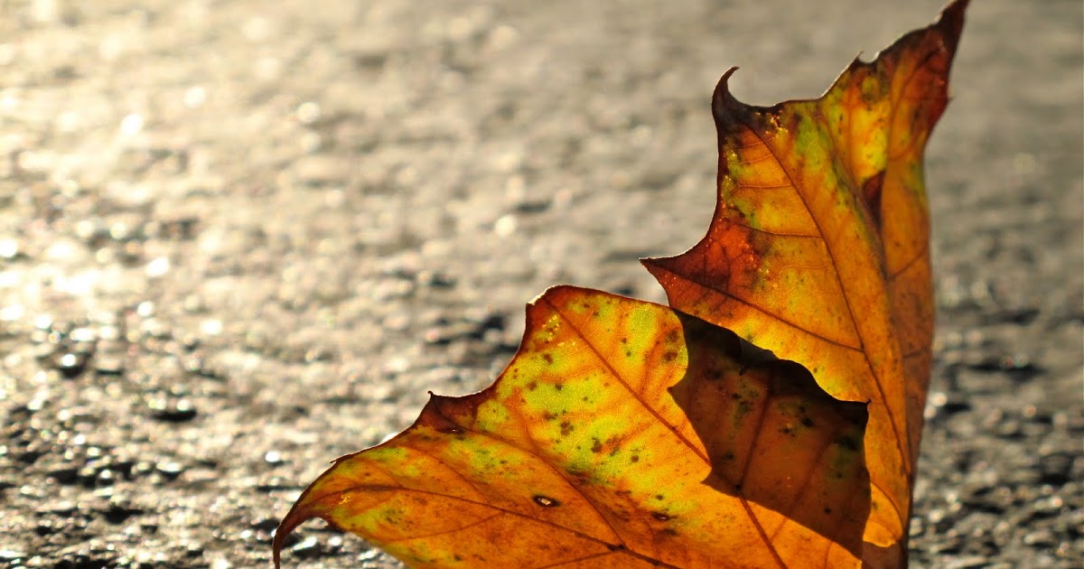 Antithesis vs juxtaposition picture