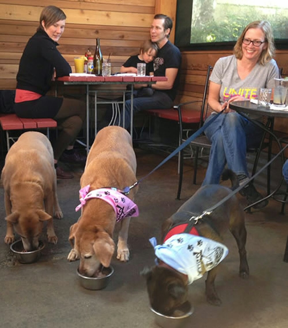 Beautiful Downtown Portland Tin Shed Garden Cafe in Portland