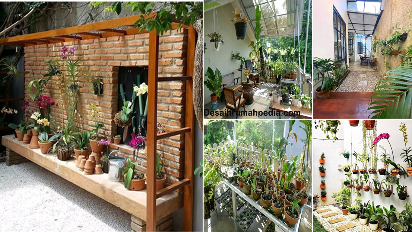 Inspirasi Bunga Anggrek di Teras Belakang Rumah Bikin Sejuk di Mata